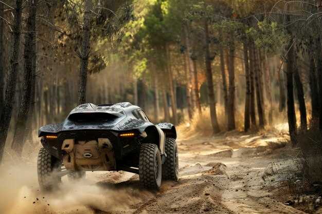 Настройка режима езды и индивидуальные опции