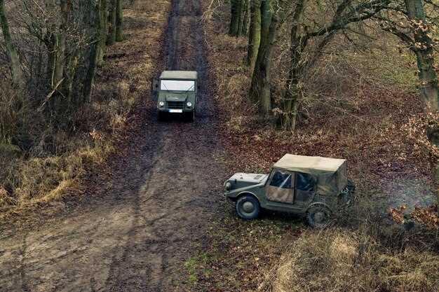 Пошаговая инструкция по сбросу кода через диагностический сканер