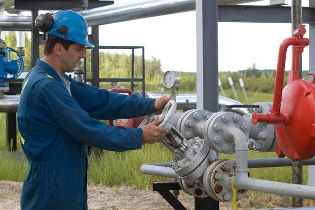 Практические советы по выбору и обслуживанию бензонасоса Газели