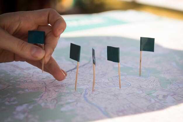 Что важно проверить перед оплатой и подачей запроса