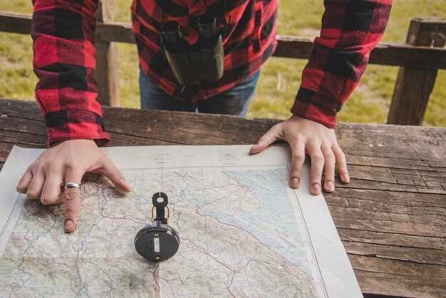 Определение признаков неисправности адсорбера и когда его менять