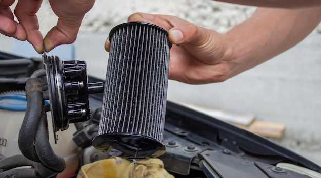 Как определить правильный тип фильтра для вашего Caddy