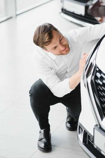 Обработка скрытых полостей и антикоррозийная смазка: как сделать самостоятельно