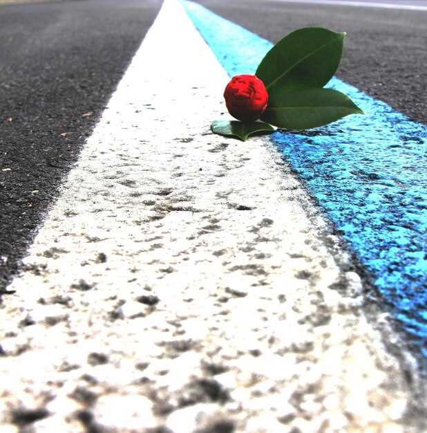 Основные этапы развития Гранта Мокрый Асфальт и их значение для формулировки стиля