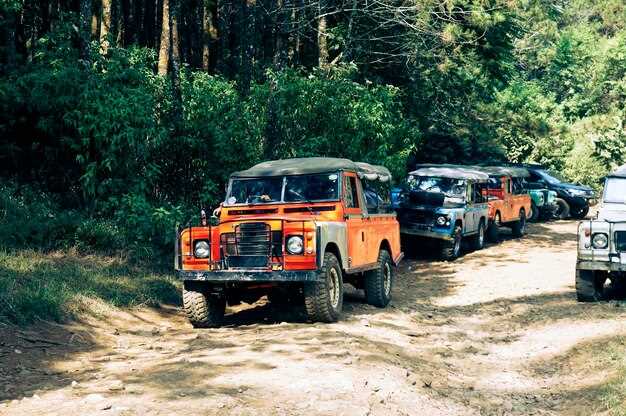 Переход к современным моделям: внедрение новых технологий
