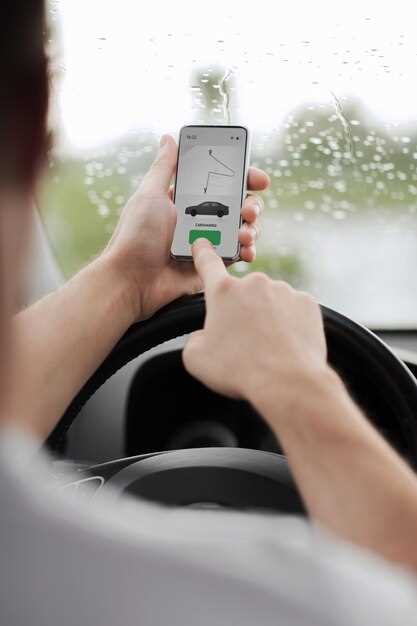 Пошаговая инструкция по вводу ключа в приложении