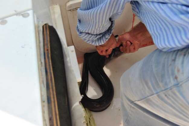 Проверка цепи с помощью мультиметра