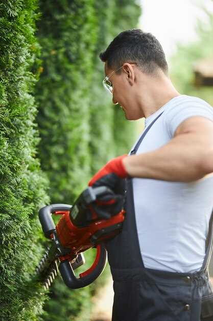 Проверка работы после регулировки: тестирование на различных режимах