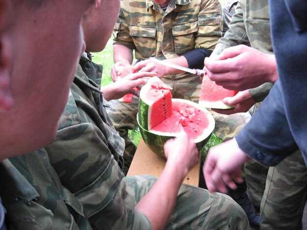 Пошаговая процедура замены внутренней гранаты Ока