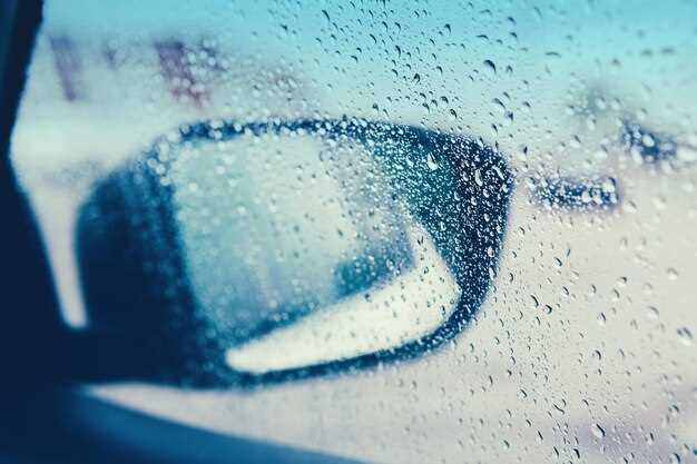 Как правильно подготовить салон перед поездкой