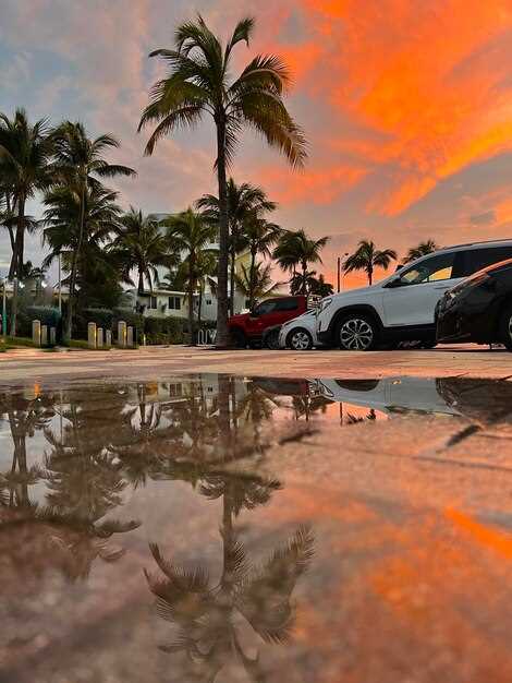 Настройка, диагностика и обслуживание датчика дождя