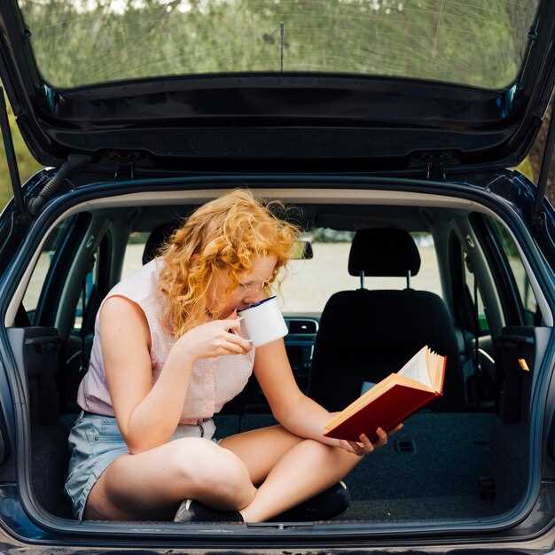 Основные компоненты механизма закрытия