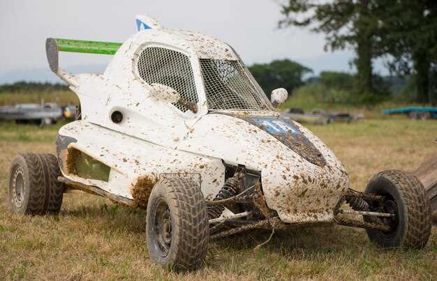 Критерии выбора подходящего двигателя Лифан под багги