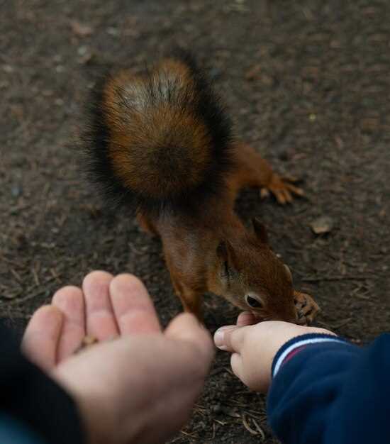 Подготовка автомобиля: отключение аккумулятора и другие меры