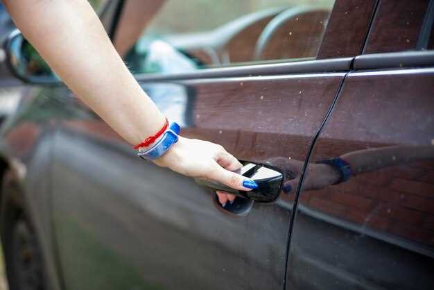 Проверка работы электрики и функциональности двери