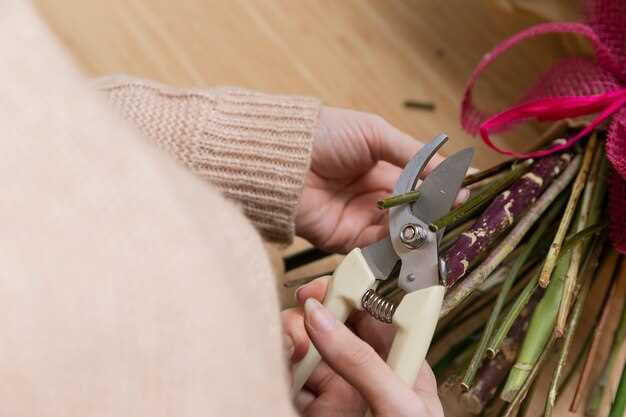 Инструменты и материалы для работы: что понадобится