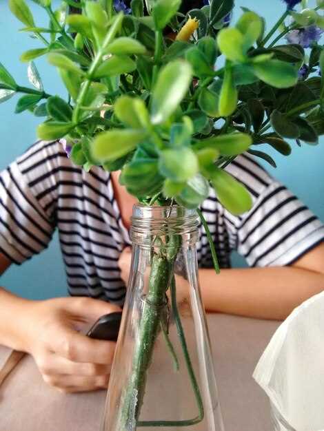 Замена тросика подсоса воздуха на ВАЗ Ока: пошаговая инструкция и советы