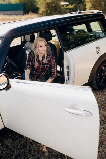 Проверка наличия скрытых повреждений или коррозии, подготовка к ремонту при необходимости