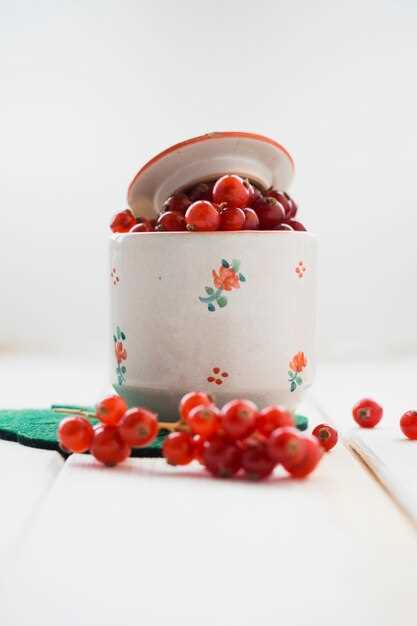 Годы производства: изменения и обновления с 2004 по 2023