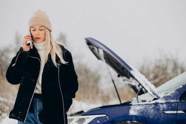 Советы по эксплуатации аккумулятора и топливной системы зимой