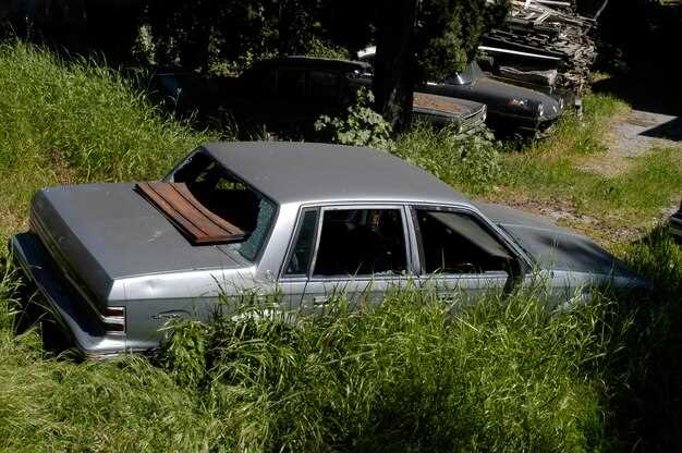 Поддержание кузова и предотвращение коррозии