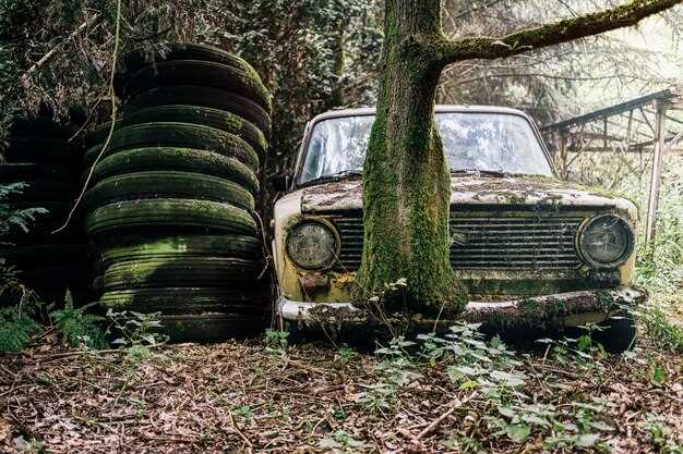 Критерии совместимости модели и года выпуска автомобиля