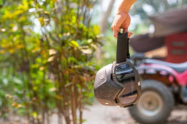 Модель 1: характеристики, преимущества и недостатки