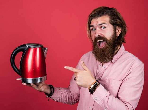 Как выбрать подходящий 12 Вольт чайник для автомобиля