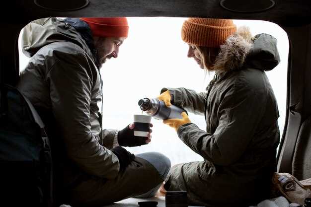 Автоматическая и ручная регулировка температуры: что выбрать для своей машины