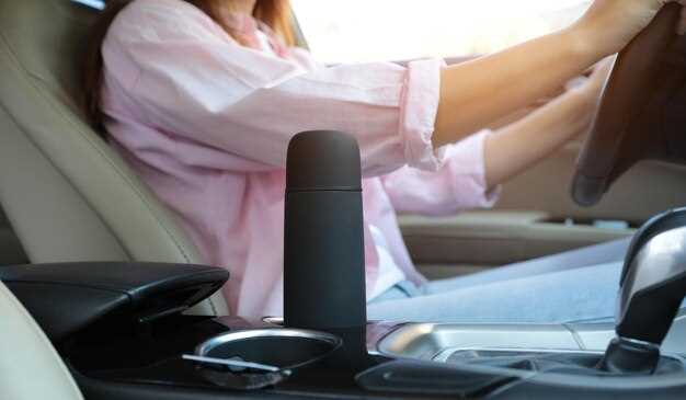 Критерии выбора увлажнителя для автомобиля: что учитывать при покупке