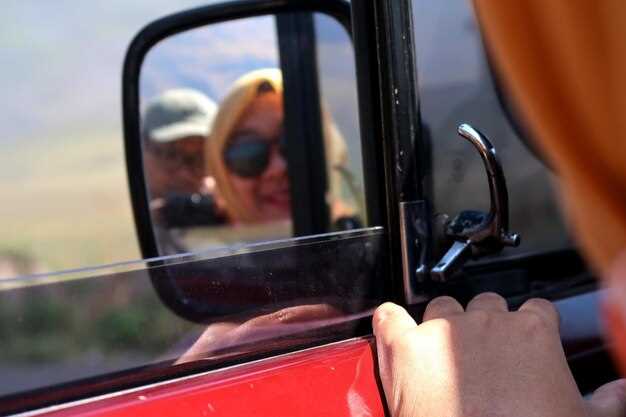 Обзор популярных видов зеркал: ручные, электроскладывающиеся, с подогревом