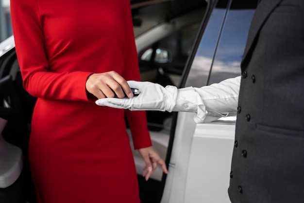 Выбор мухобойки для Лада Гранта: на что обратить внимание