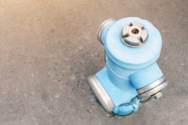 Типичные неисправности и способы их устранения при использовании насоса НИВ