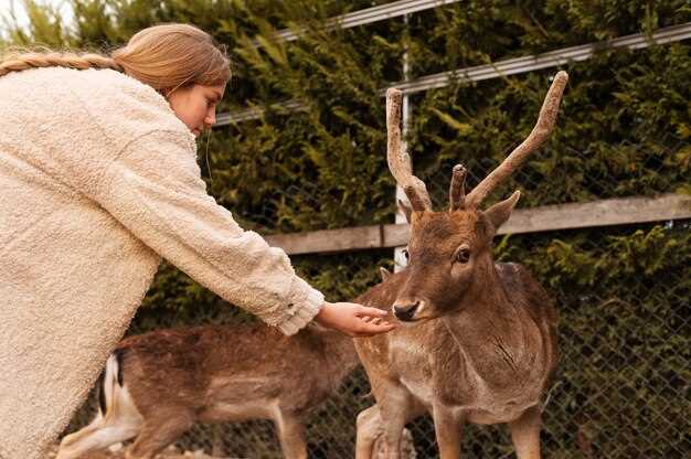 Советы по ремонту и самостоятельной диагностики
