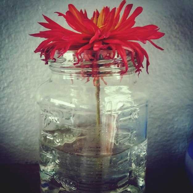 Практические методы устранения ошибки 171 и советы по ремонту