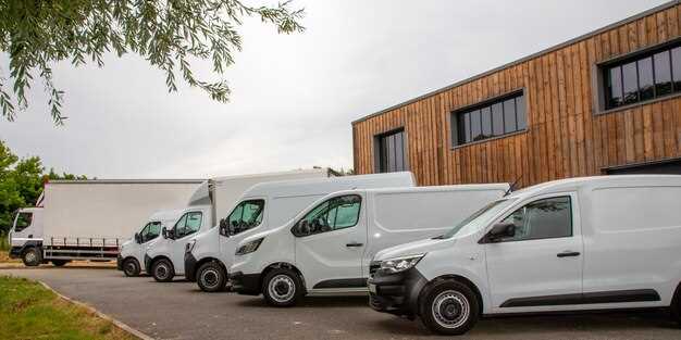 Недостатки и потенциальные сложности при эксплуатации Пежо Партнер 2011