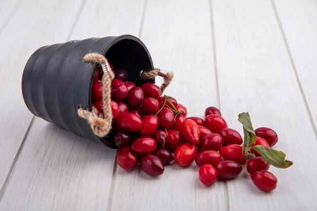 Регулярное техническое обслуживание и рекомендации по уходу за двигателем