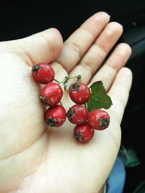 Изношенные свечи зажигания: как определить и заменить