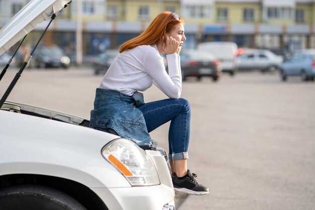 Очистка и смазка механизма от грязи и ржавчины