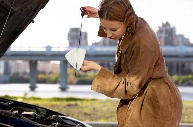 Проверка и очистка топливной системы перед запуском