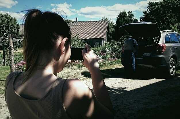 Проблемы с заслонками вентиляции и их правильная настройка