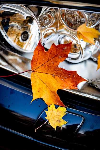 Очистка радиатора системы отопления: пошаговая инструкция