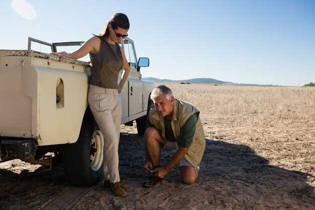 Обновление электронных блоков и прошивка ECU