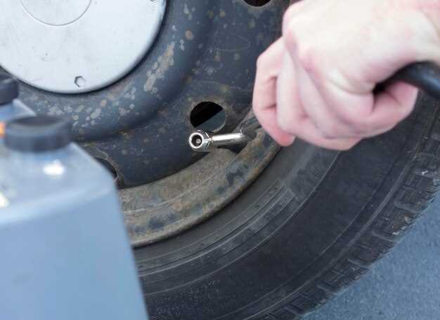 Дополнительные меры: проверка вакуумных шлангов и их замена