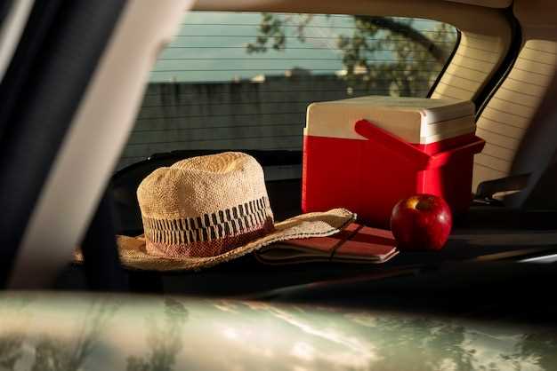 Где приобрести и на что обращать внимание при покупке