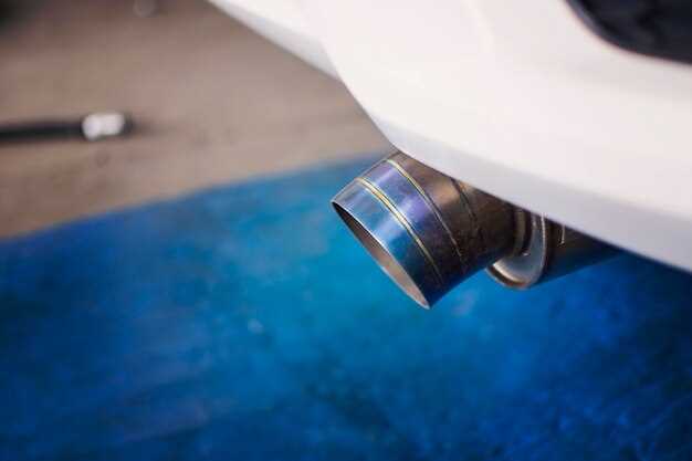 Загрязнение или коррозия внутренних частей выхлопной системы