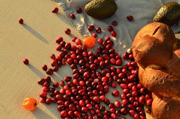 Обзор интерфейса и меню: навигация по системе