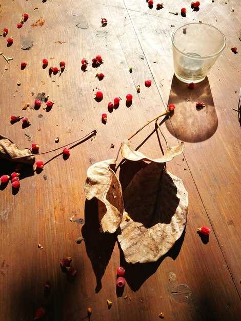 Практическое применение и анализ данных: как использовать расшифровки МУС для бизнеса