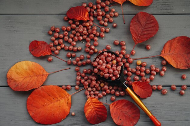 Автоматизация работы с данными МУС: внедрение в системы управления