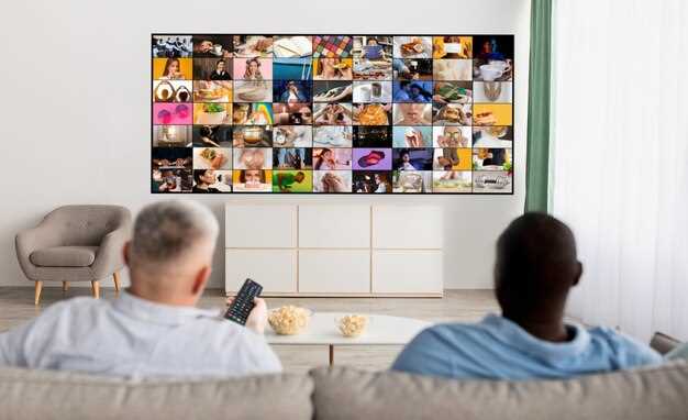 Совместимость с дополнительными мультимедийными гаджетами